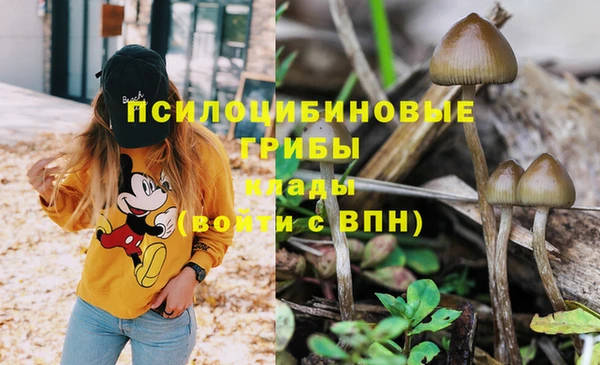стаф Одинцово