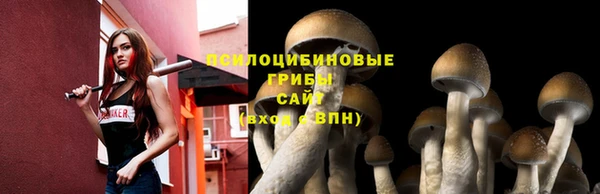 гашик Домодедово