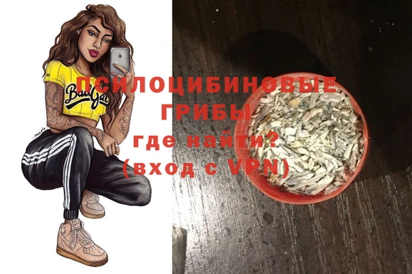 эйфоретик Майский